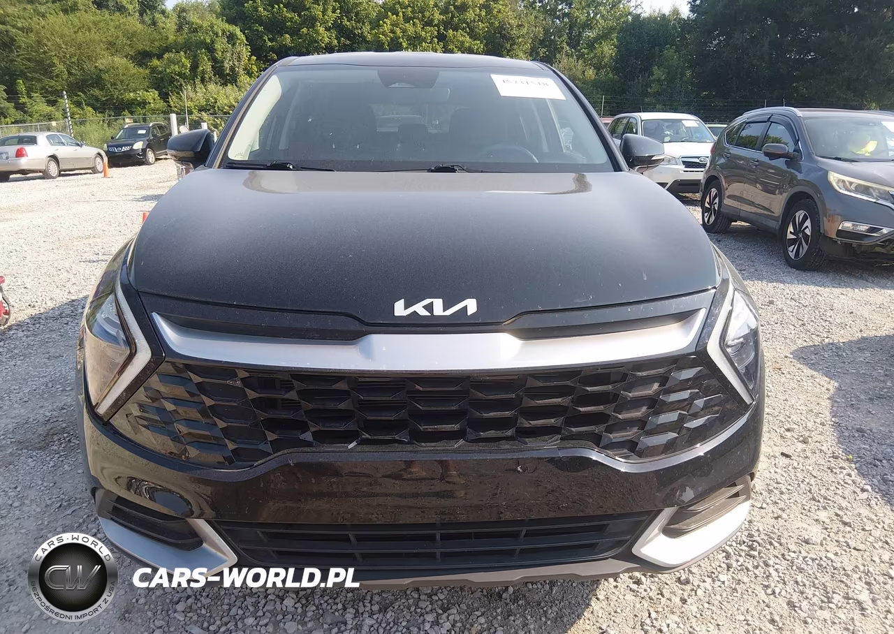 2023 Kia Sportage Ex VIN:5XYK33AF7PG130074 - 12