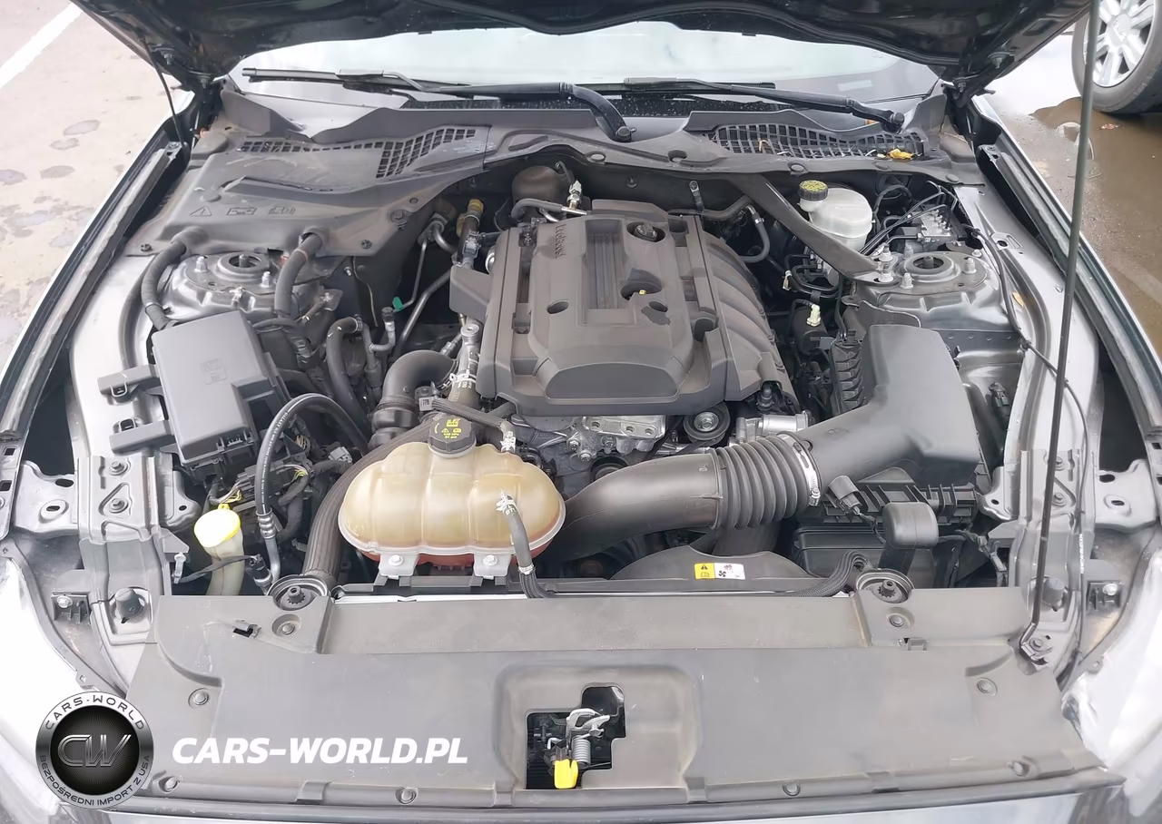 2016 Ford Mustang Ecoboost VIN:1FA6P8TH2G5273563 - 10