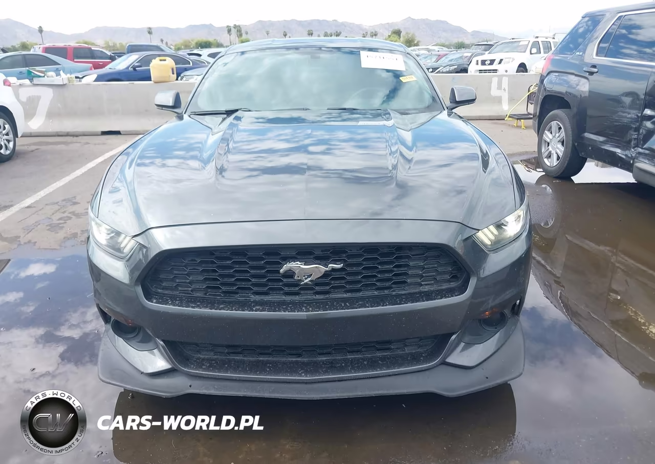 2016 Ford Mustang Ecoboost VIN:1FA6P8TH2G5273563 - 12