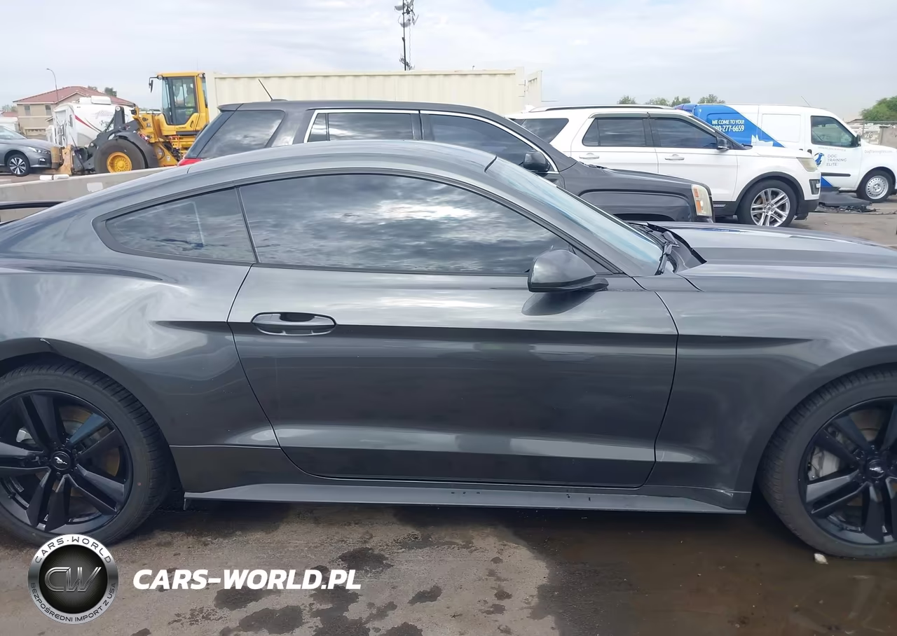2016 Ford Mustang Ecoboost VIN:1FA6P8TH2G5273563 - 13