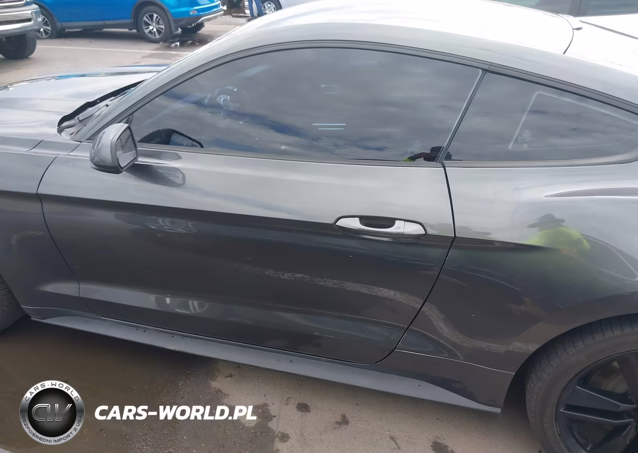 2016 Ford Mustang Ecoboost VIN:1FA6P8TH2G5273563 - 14