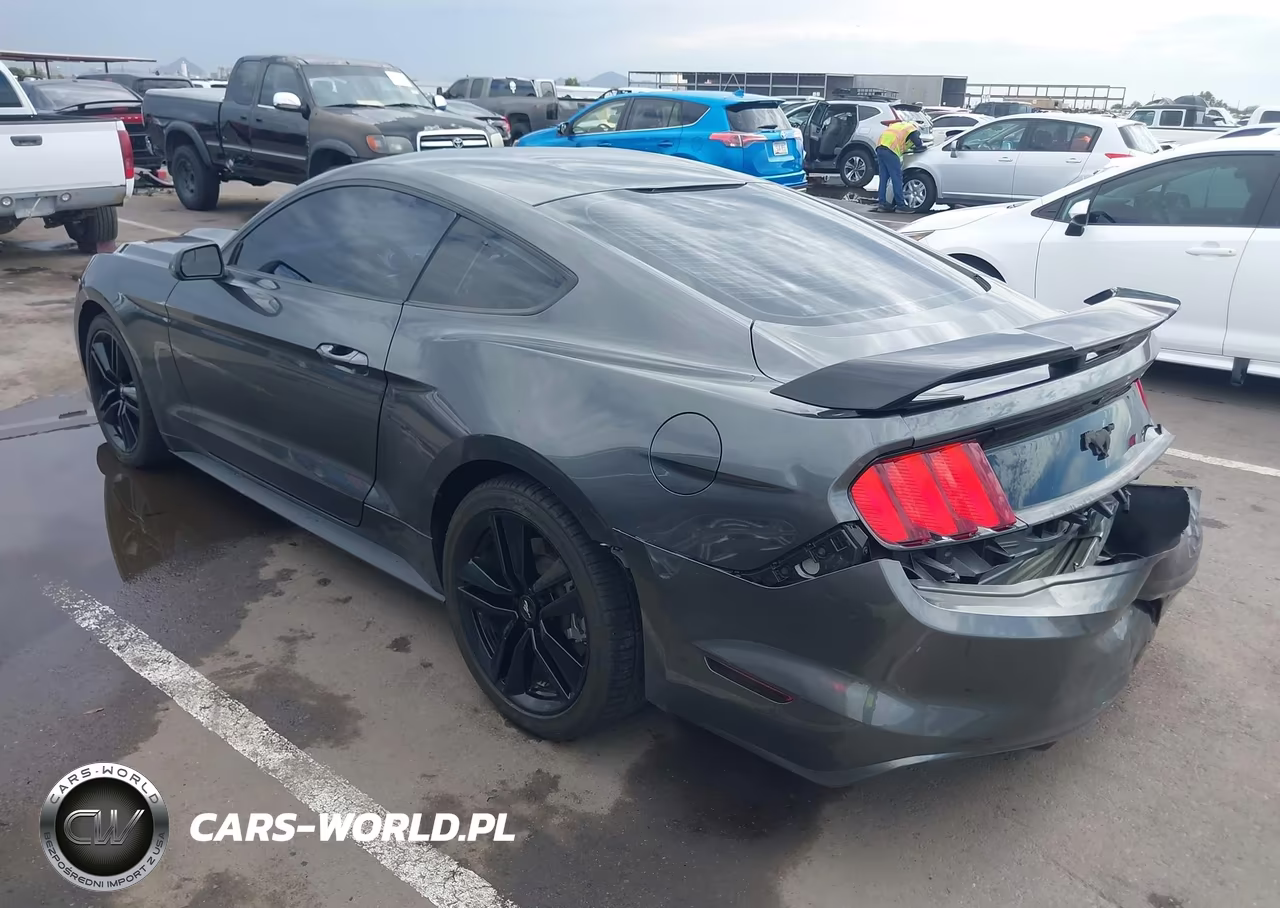 2016 Ford Mustang Ecoboost VIN:1FA6P8TH2G5273563 - 3