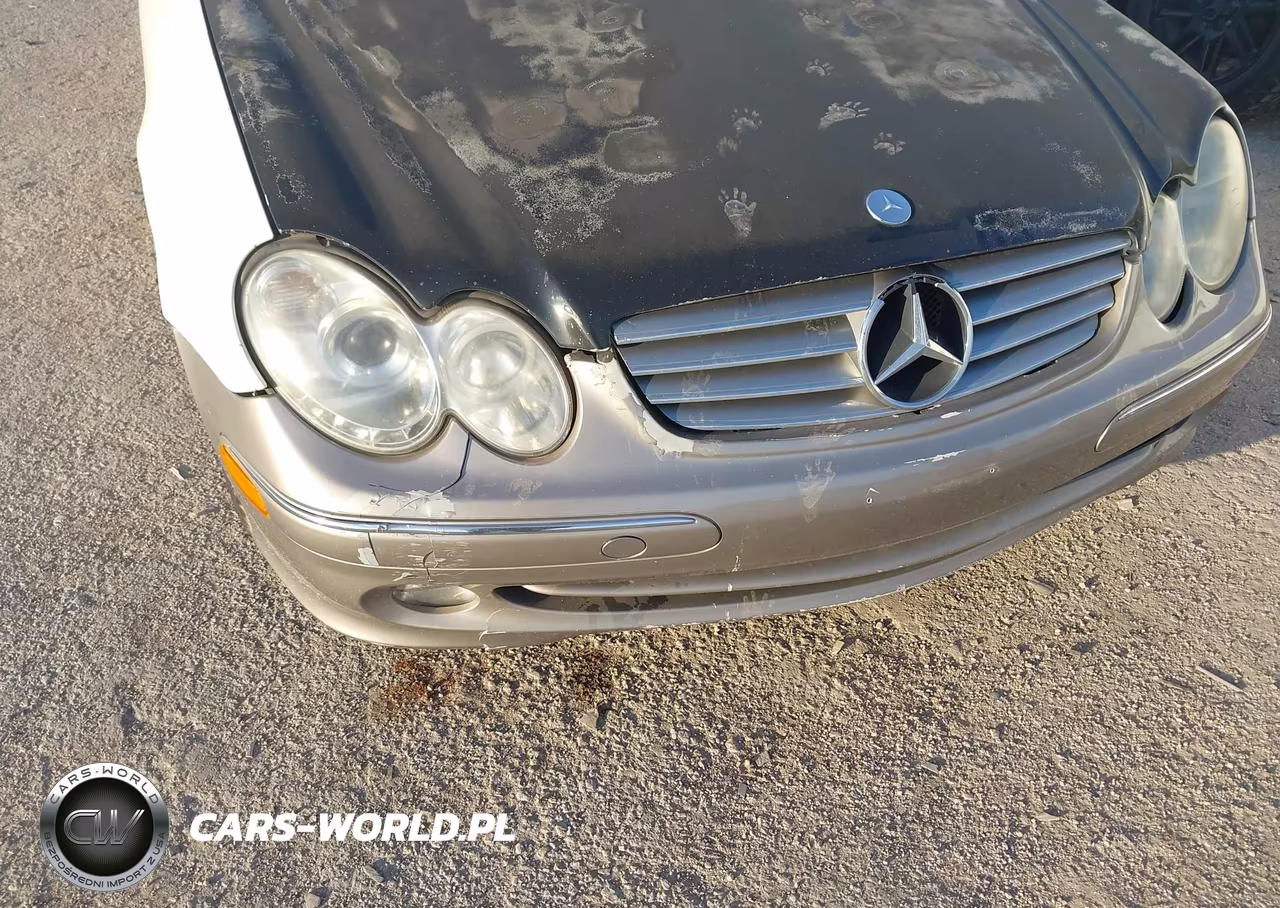 2004 Mercedes-Benz Clk 320 VIN:WDBTJ65J54F104449 - 12