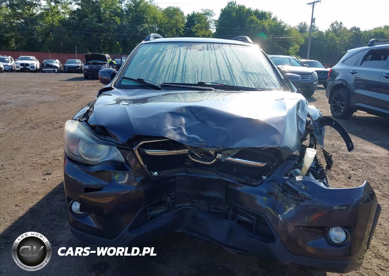 2014 Subaru Xv Crosstrek 2.0I Premium VIN:JF2GPACC8E8210264 - 11