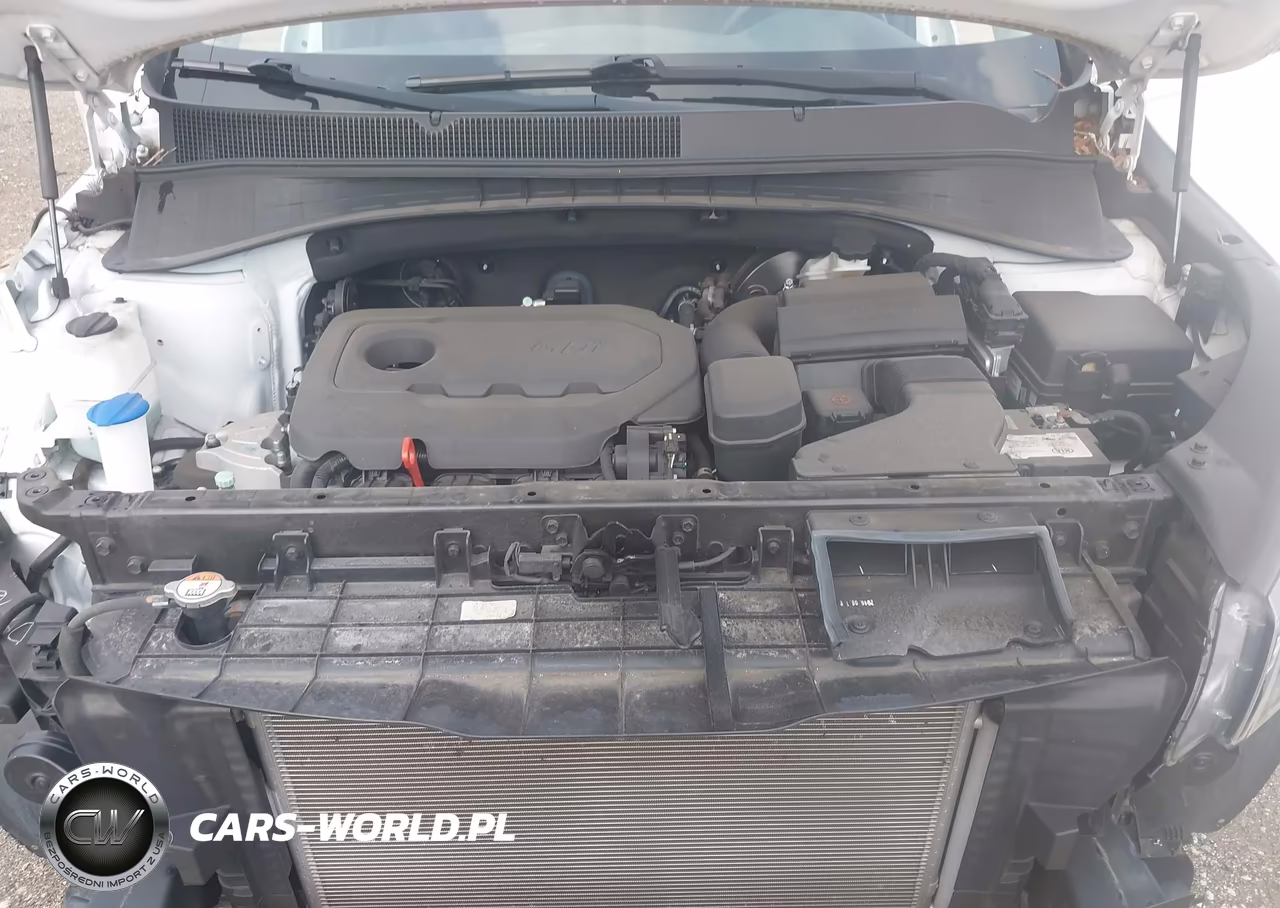 2017 Kia Sorento 2.4L Lx VIN:5XYPG4A33HG275118 - 10