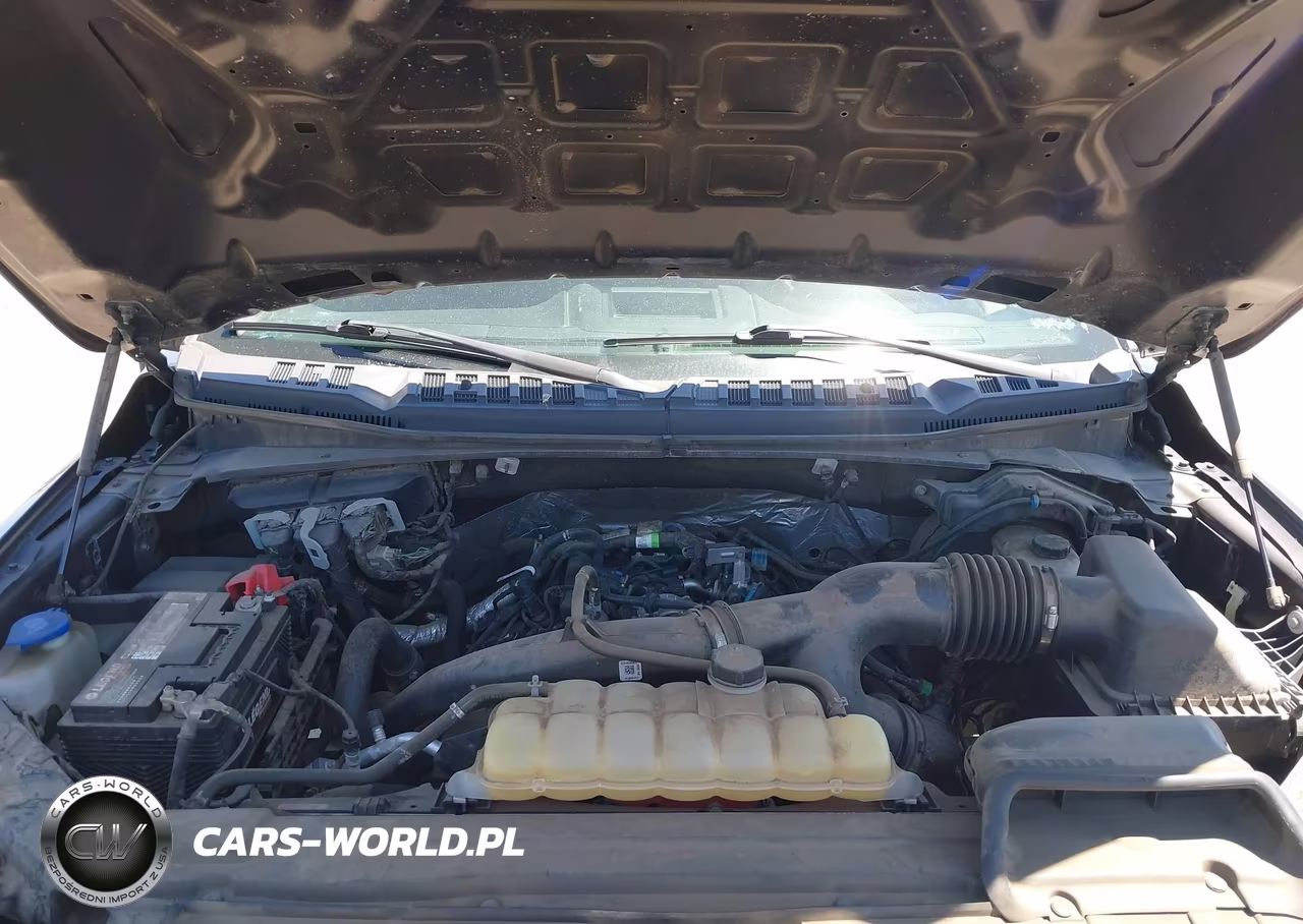 2019 Ford F-150 Xl VIN:1FTEX1EP6KFA36515 - 10