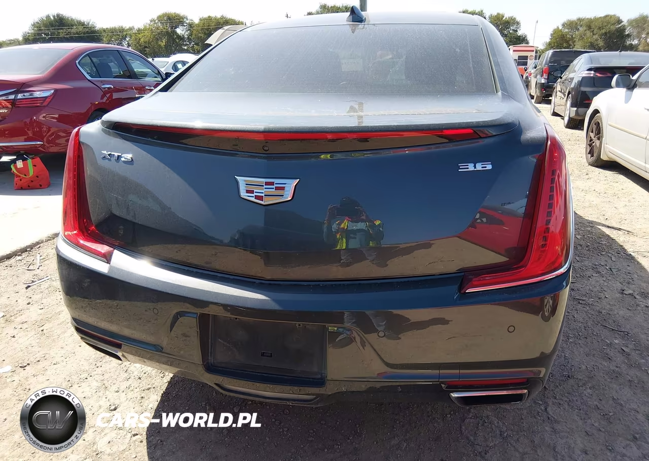 2019 Cadillac Xts Luxury VIN:2G61M5S3XK9100387 - 16