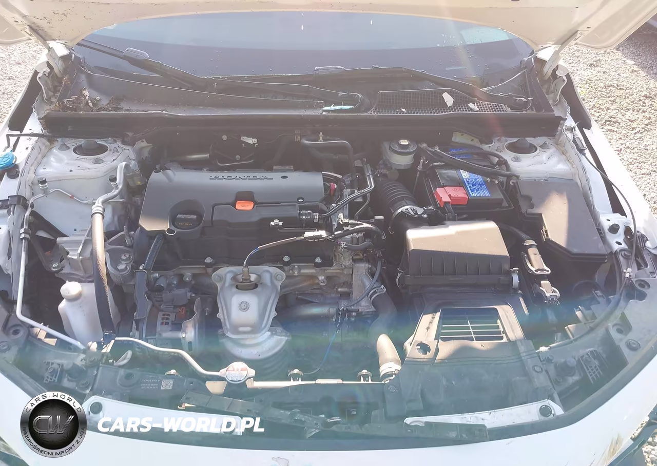 2024 Honda Civic Sport VIN:2HGFE2F57RH548162 - 10
