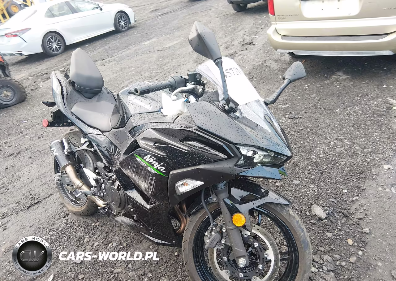 2024 Kawasaki Ex500 H