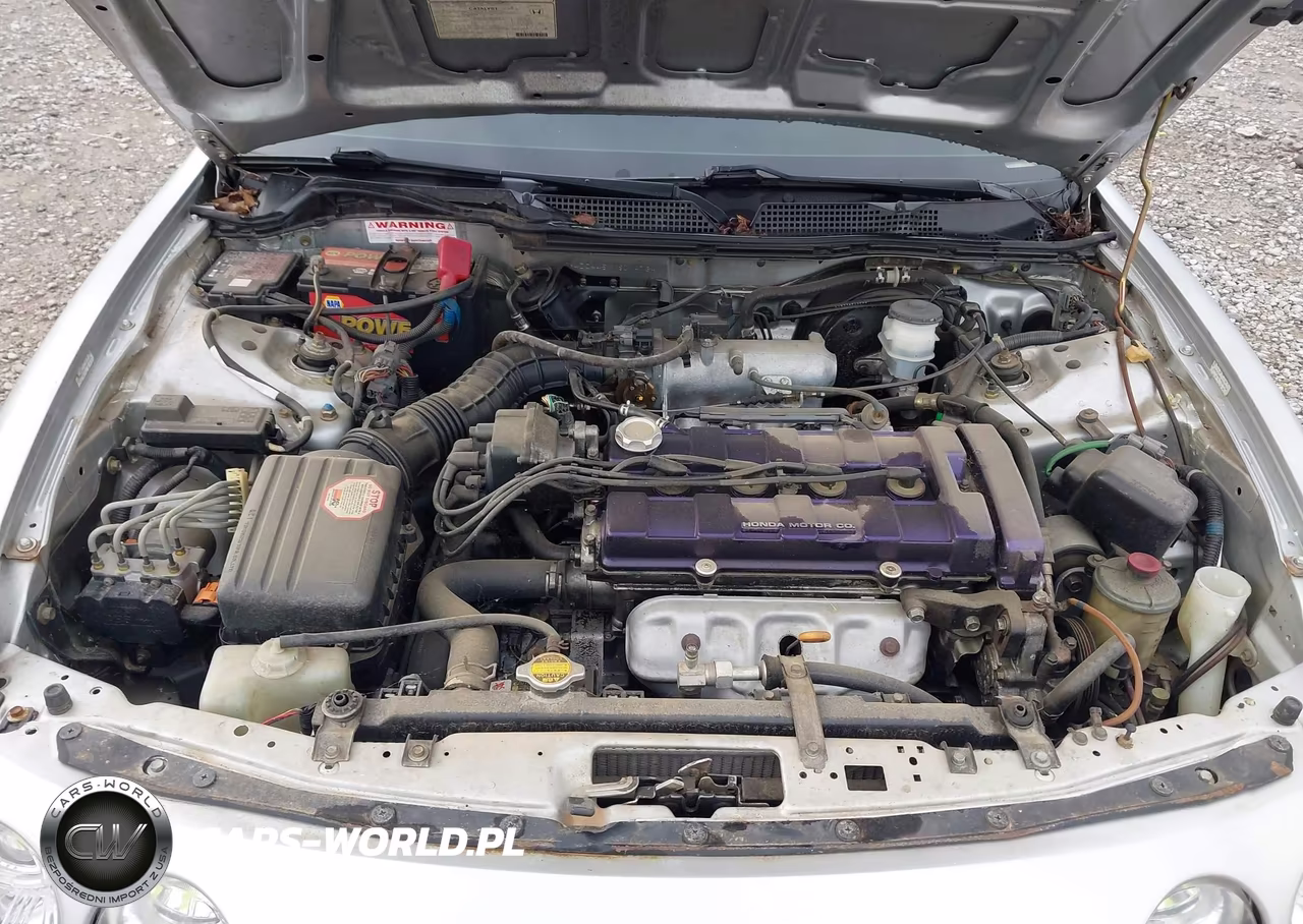1998 Acura Integra Ls VIN:JH4DC4451WS014734 - 10