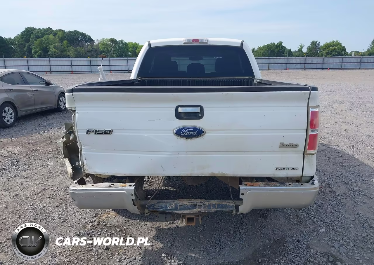 2011 Ford F-150 Xlt VIN:1FTFX1CFXBKD17187 - 17