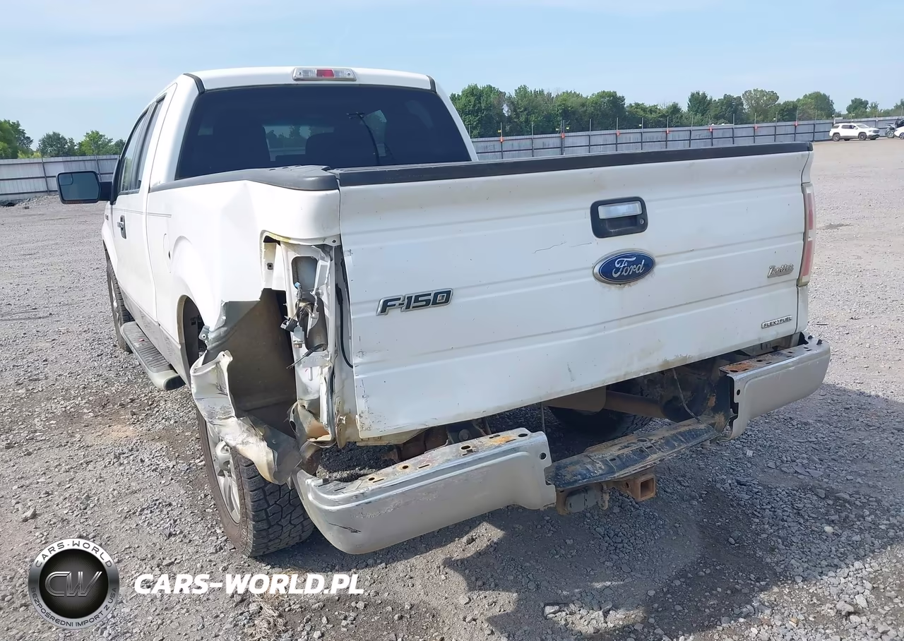 2011 Ford F-150 Xlt VIN:1FTFX1CFXBKD17187 - 21