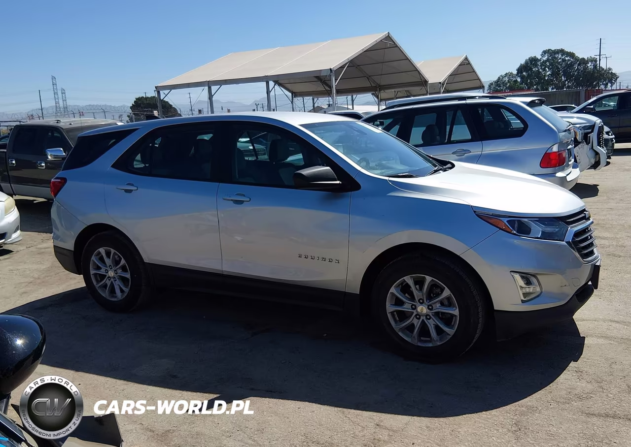 2020 Chevrolet Equinox Fwd Ls VIN:3GNAXHEVXLS698253 - 13