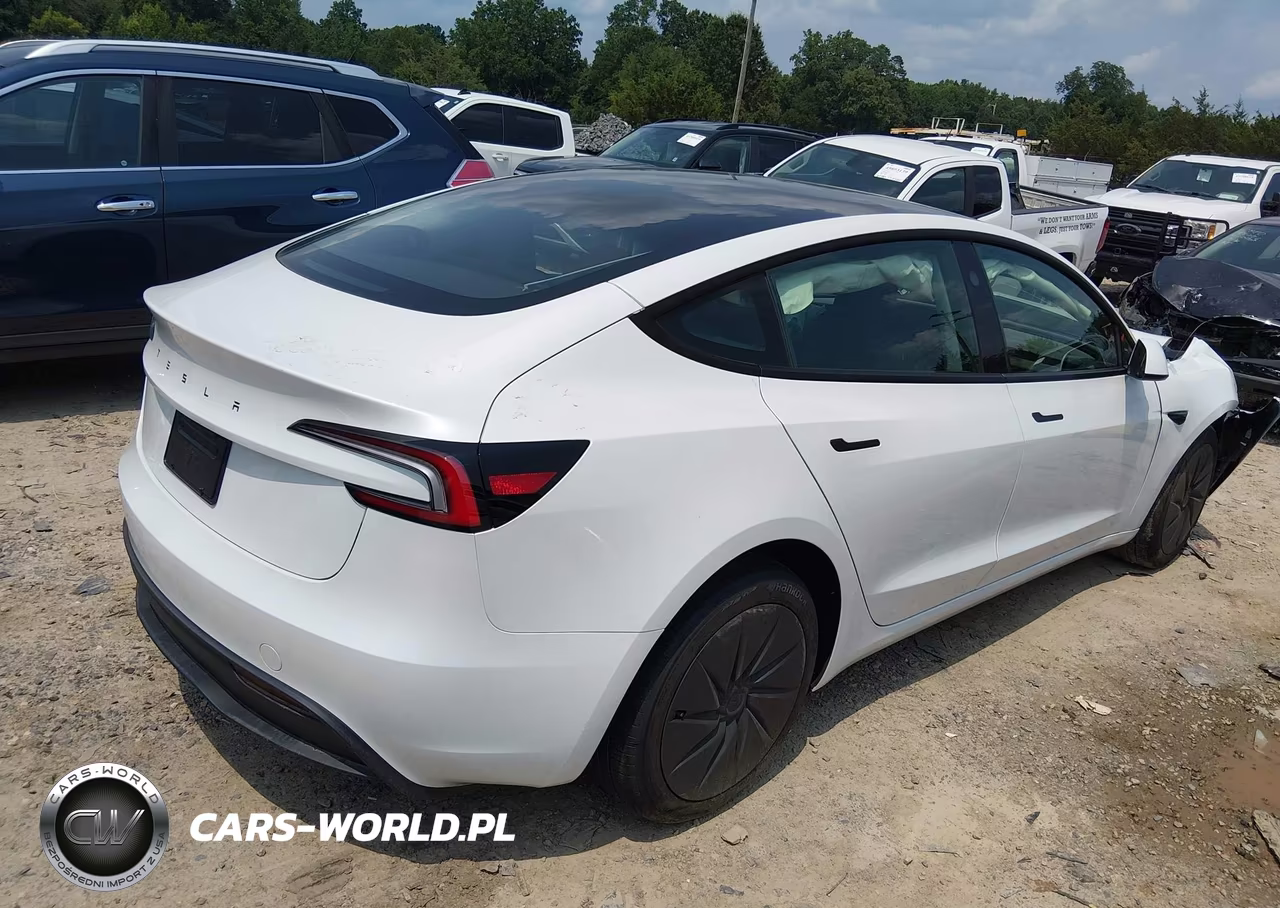 2025 Tesla Model 3 Long Range Rear-Wheel Drive-Standard Rear-Wheel Drive VIN:5YJ3E1EAXSF138686 - 4