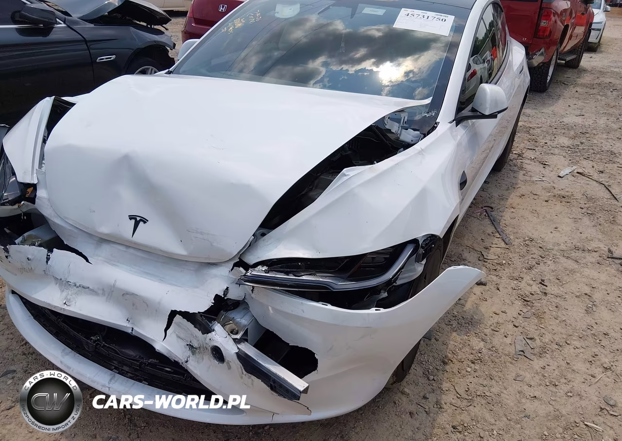 2025 Tesla Model 3 Long Range Rear-Wheel Drive-Standard Rear-Wheel Drive VIN:5YJ3E1EAXSF138686 - 6