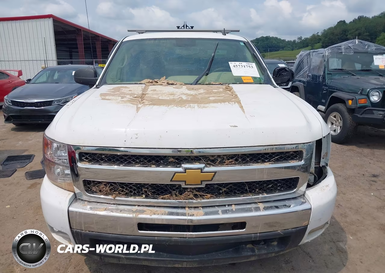 2010 Chevrolet Silverado 1500 Lt VIN:1GCSKSE32AZ270216 - 12