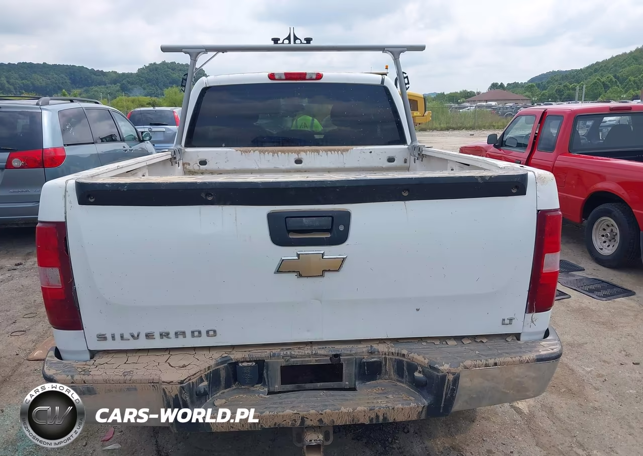 2010 Chevrolet Silverado 1500 Lt VIN:1GCSKSE32AZ270216 - 16