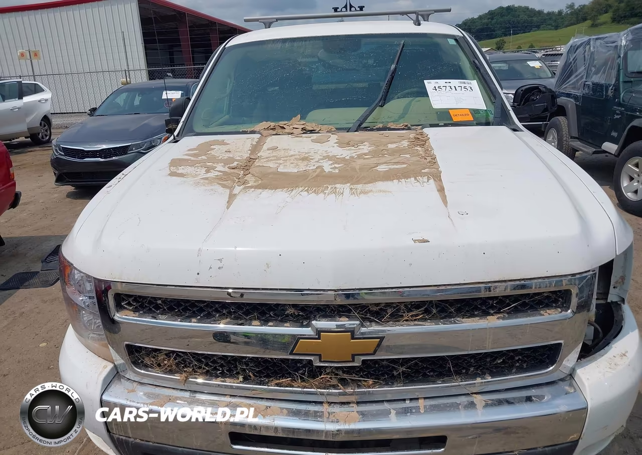 2010 Chevrolet Silverado 1500 Lt VIN:1GCSKSE32AZ270216 - 6