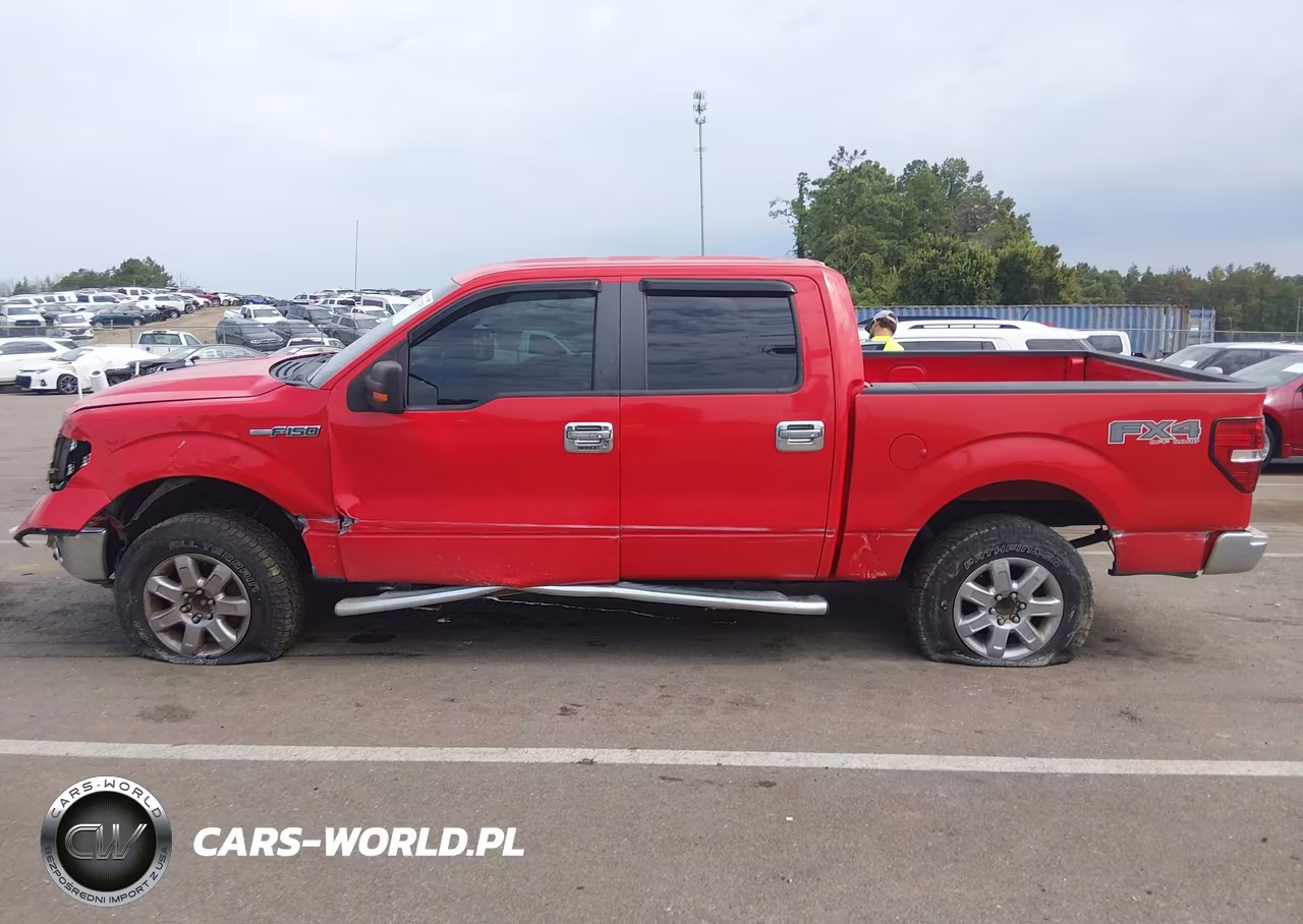2013 Ford F-150 Xlt VIN:1FTFW1EF8DKF02244 - 15