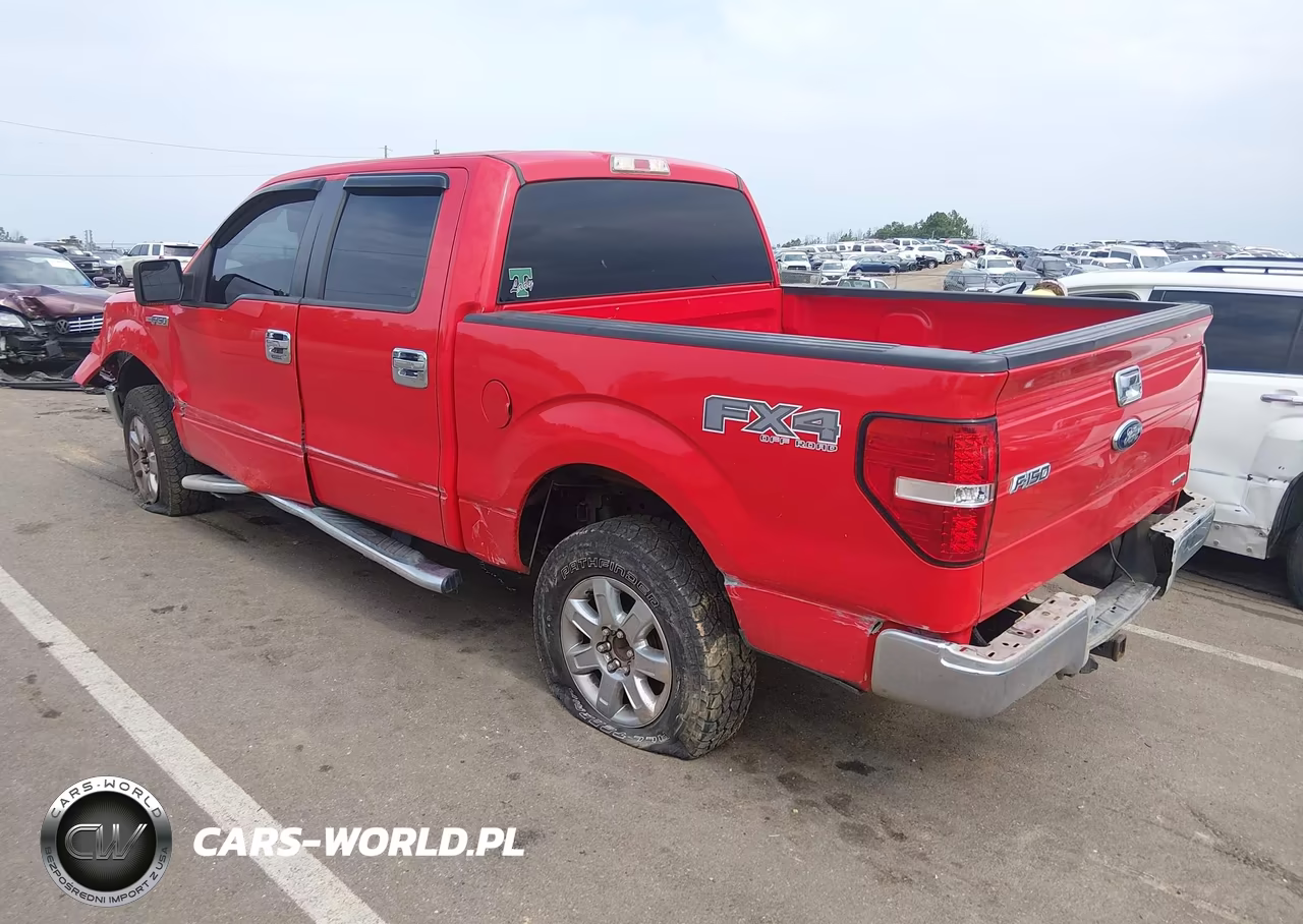 2013 Ford F-150 Xlt VIN:1FTFW1EF8DKF02244 - 3