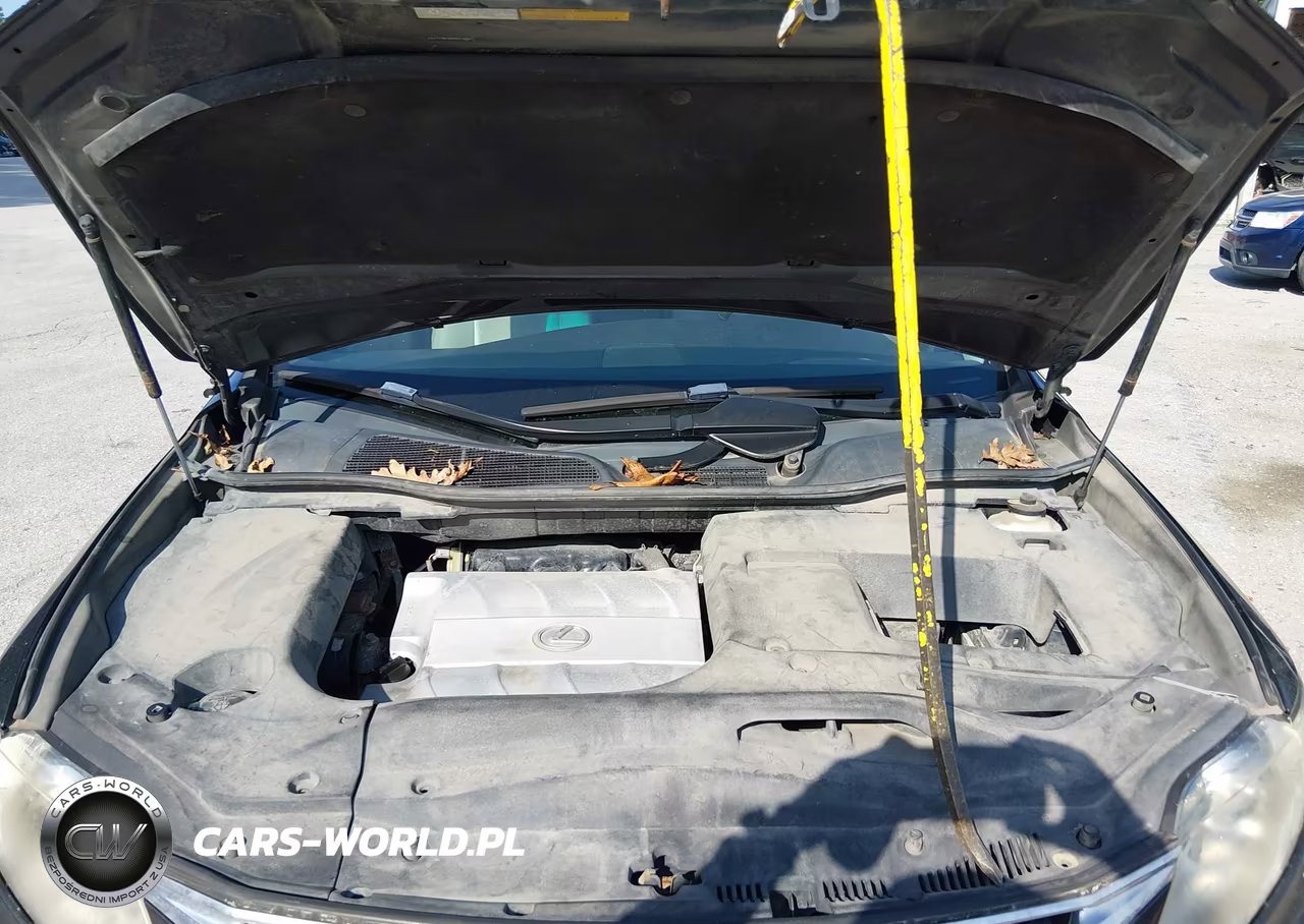 2010 Lexus Rx 350 VIN:2T2BK1BA0AC016894 - 10