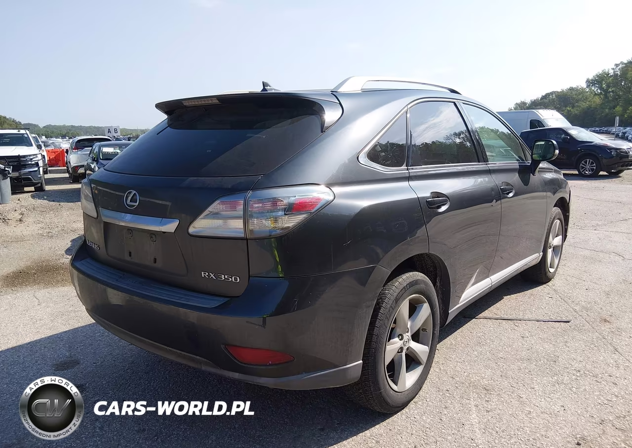 2010 Lexus Rx 350 VIN:2T2BK1BA0AC016894 - 4