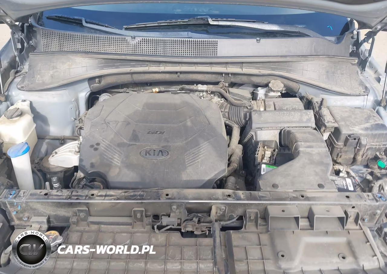 2020 Kia Sorento 3.3L Lx VIN:5XYPGDA56LG617977 - 10