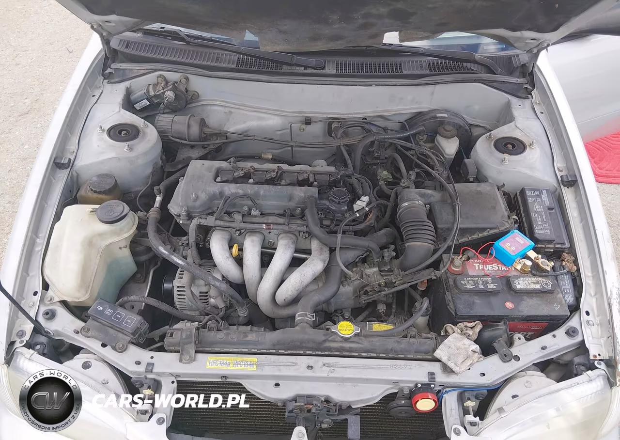 2000 Toyota Corolla Ve VIN:1NXBR12E6YZ348494 - 10