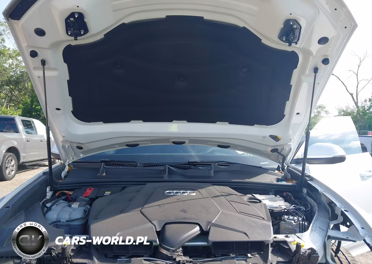2023 Audi Q8 Premium 55 Tfsi Quattro Tiptronic VIN:WA1AVBF14PD026020 - 10