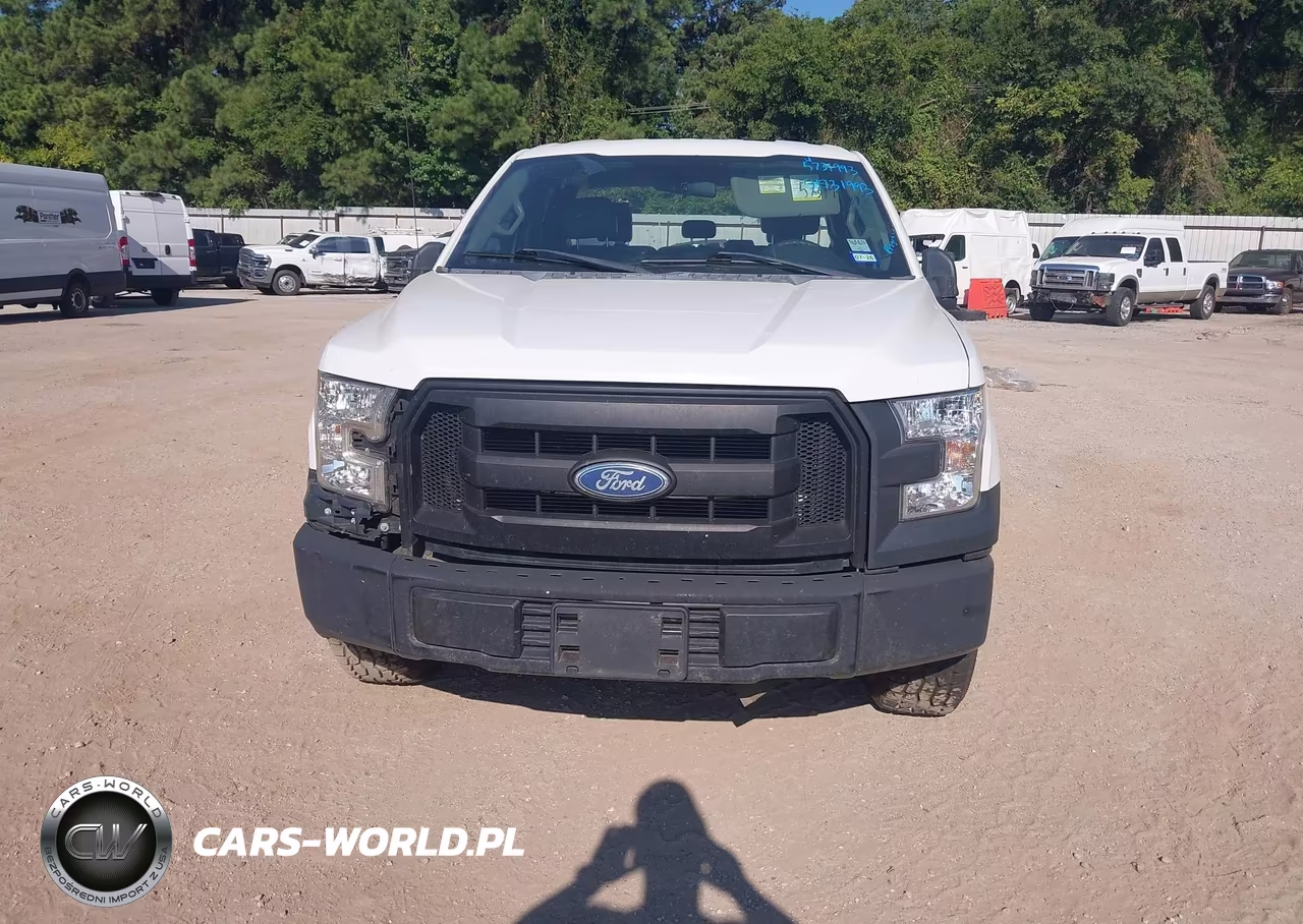 2016 Ford F-150 Xl VIN:1FTEX1C80GFB29257 - 12
