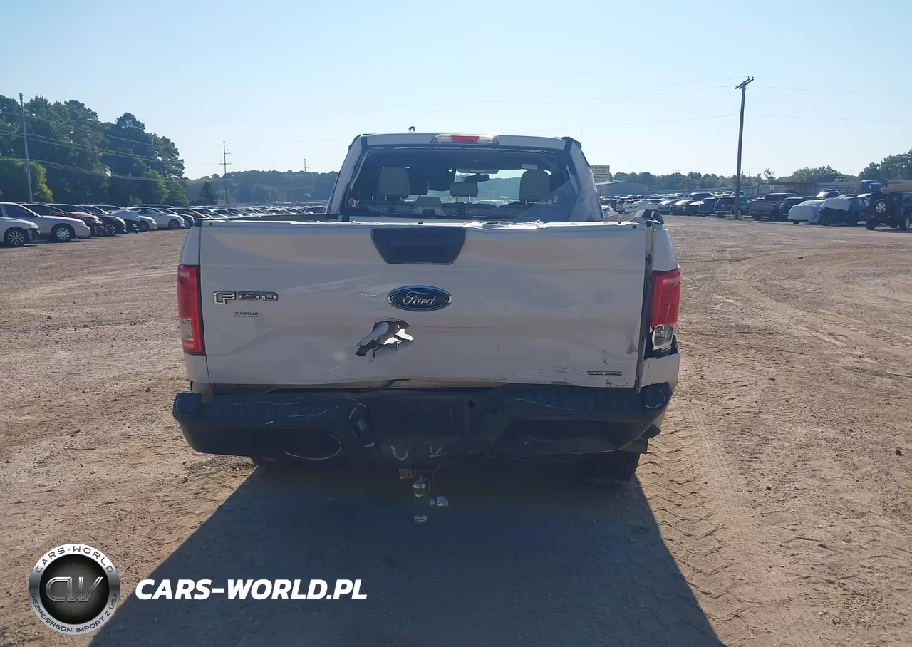 2016 Ford F-150 Xl VIN:1FTEX1C80GFB29257 - 16