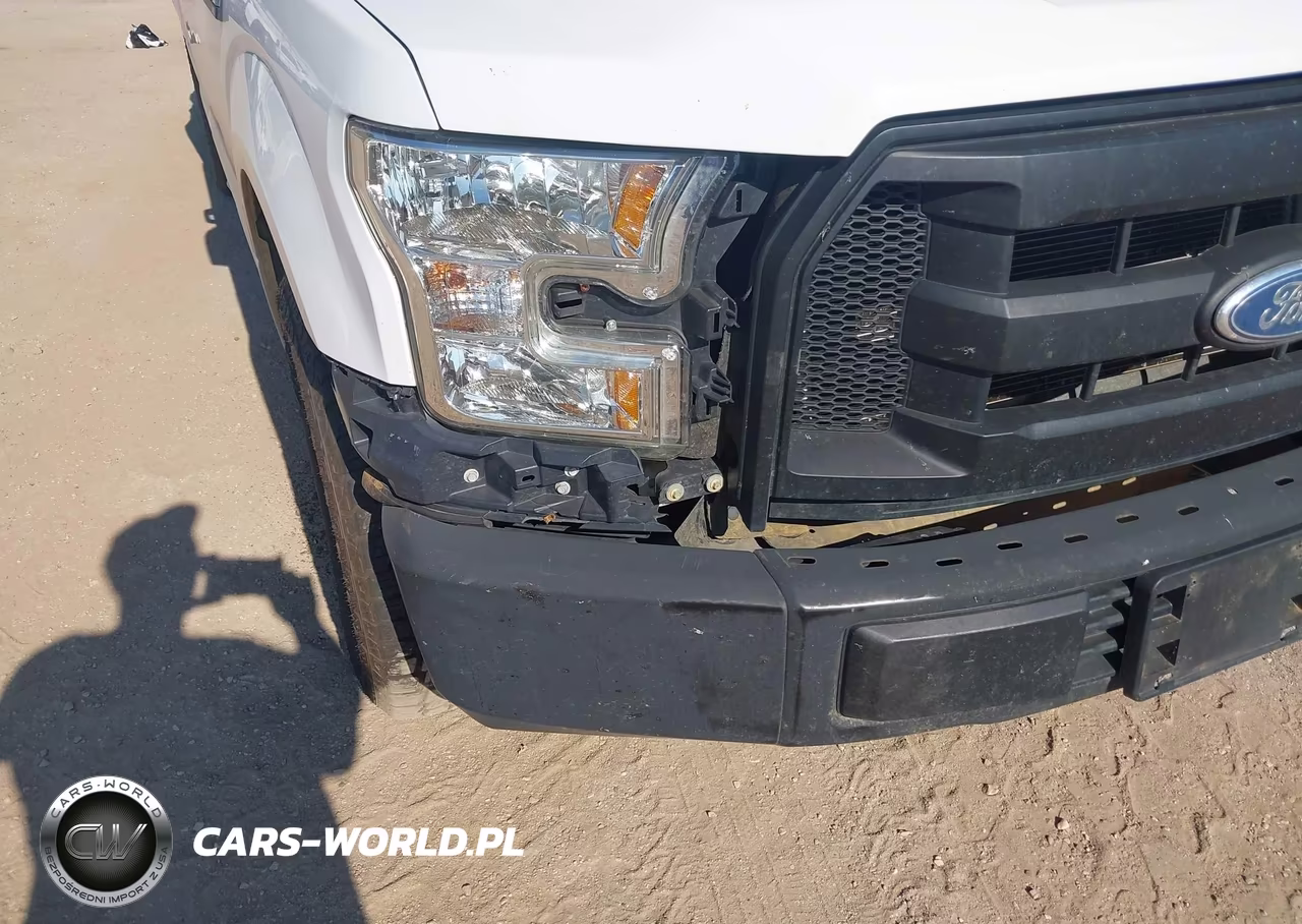 2016 Ford F-150 Xl VIN:1FTEX1C80GFB29257 - 17