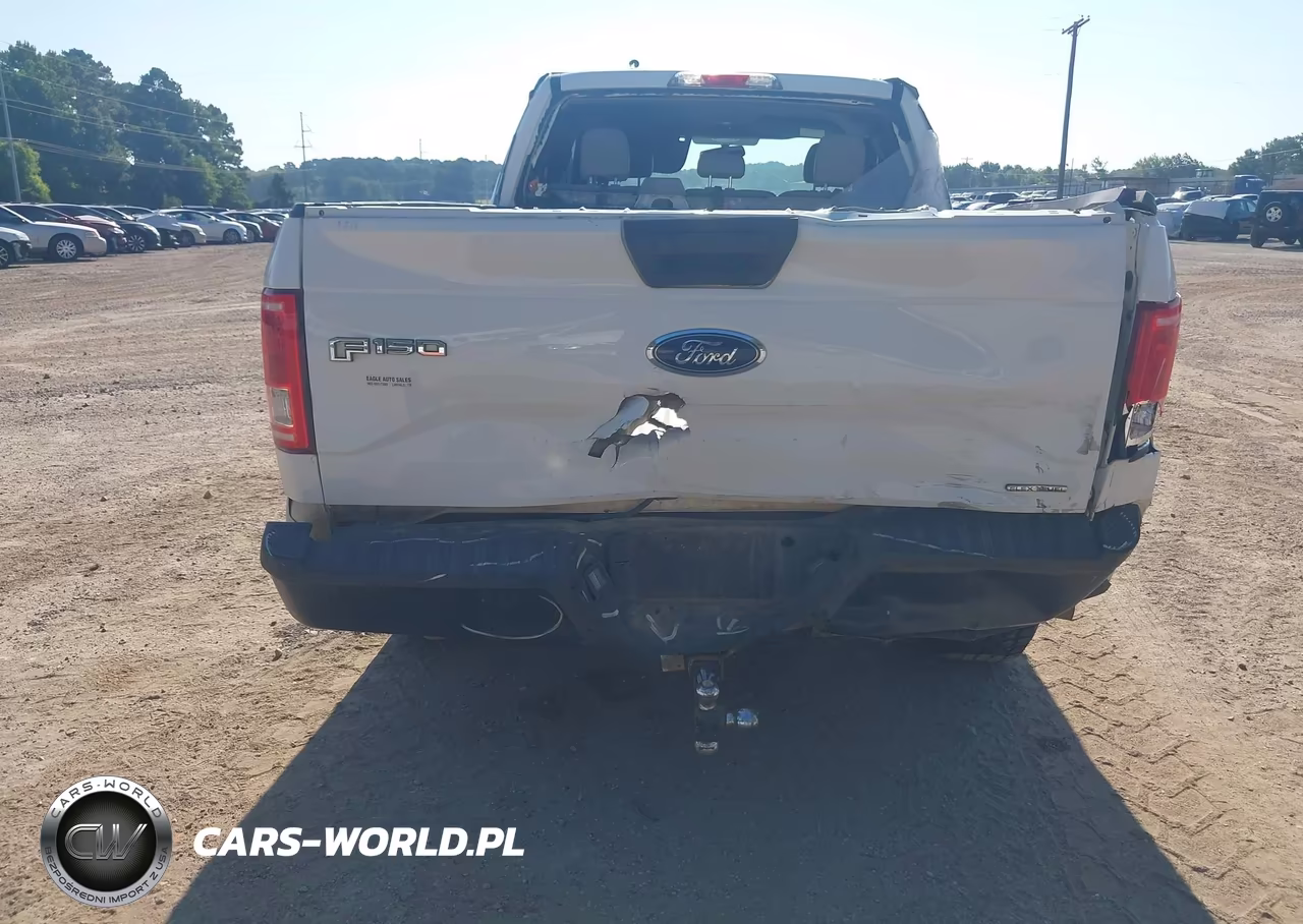 2016 Ford F-150 Xl VIN:1FTEX1C80GFB29257 - 6