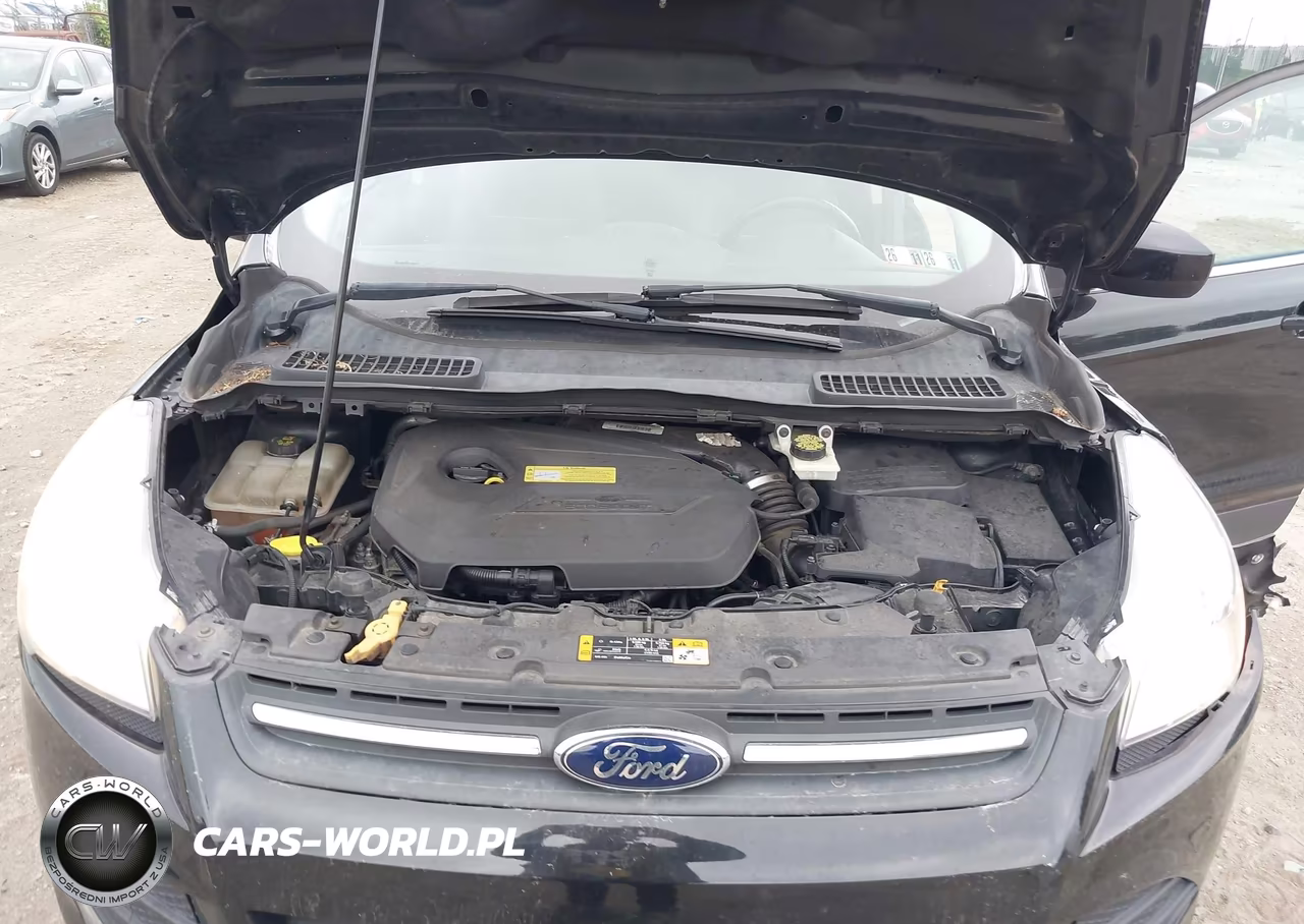 2013 Ford Escape Se VIN:1FMCU0GX3DUB10443 - 10