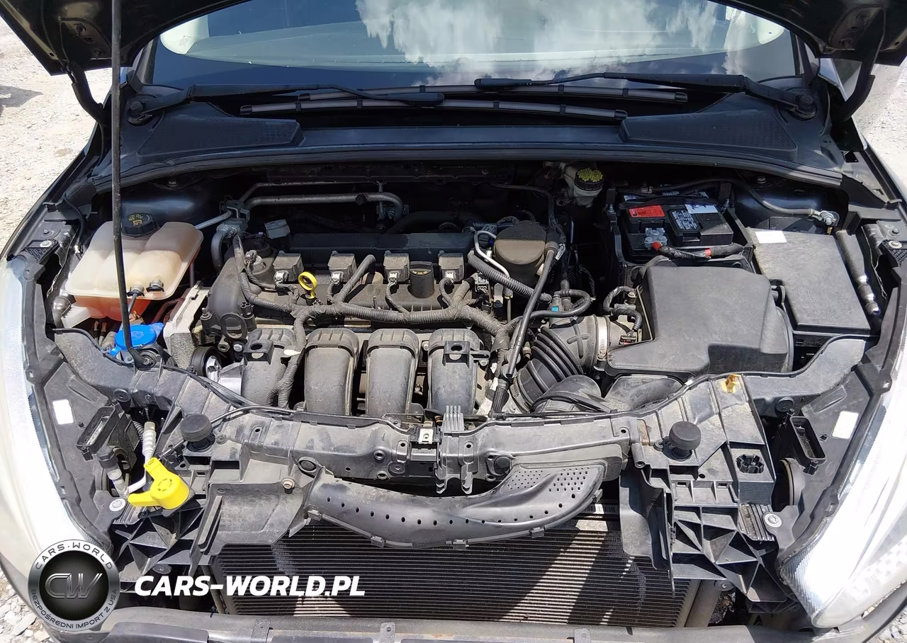 2015 Ford Focus Se VIN:1FADP3K26FL360786 - 10