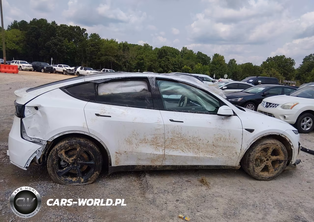 2026 Tesla Model Y All-Wheel Drive-Long Range Launch Series-Premium All-Wheel Drive VIN:7SAYGDEE9TA489790 - 12