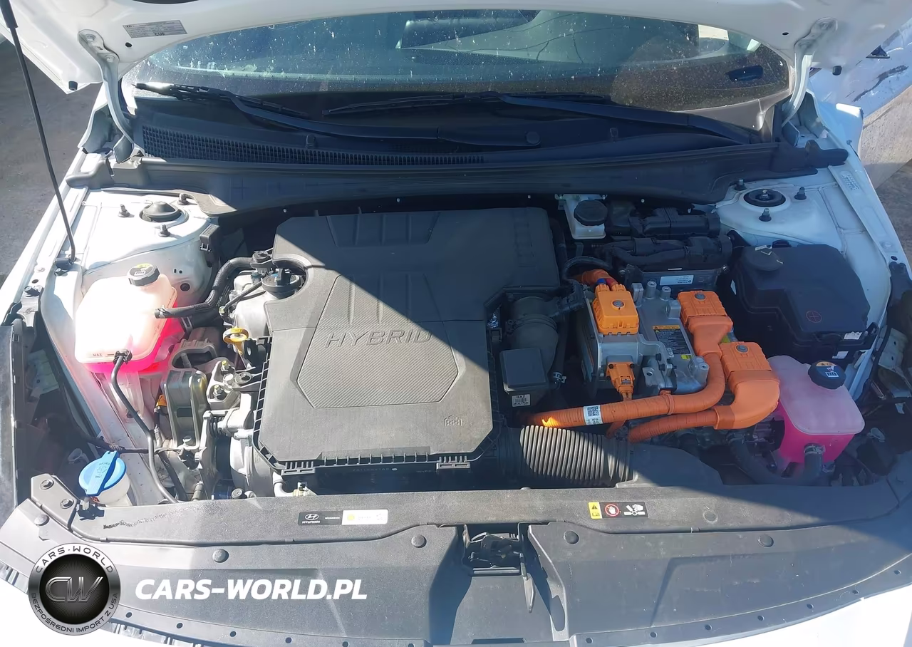2023 Hyundai Elantra Hybrid Limited VIN:KMHLN4AJ3PU055876 - 10