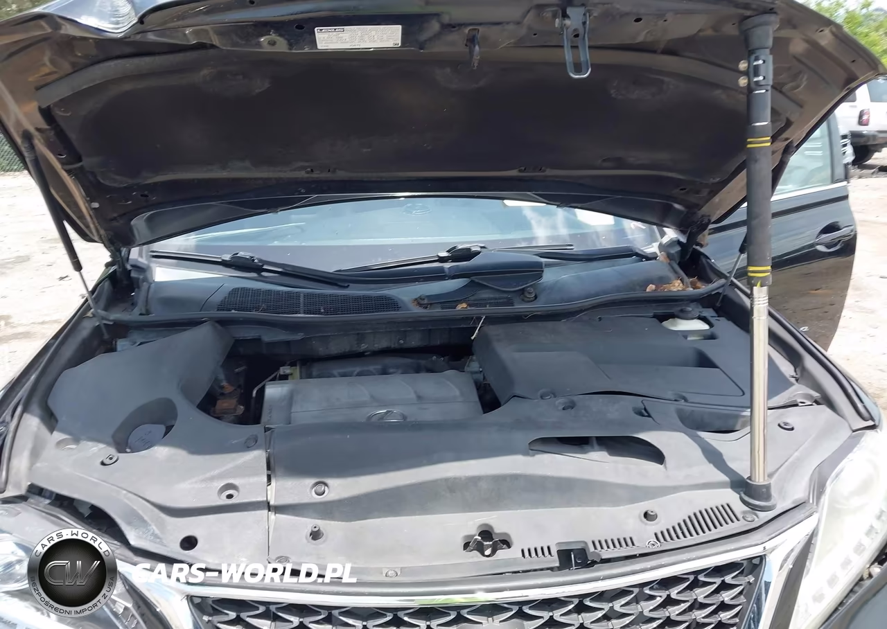 2014 Lexus Rx 350 F Sport VIN:2T2BK1BA2EC249861 - 10