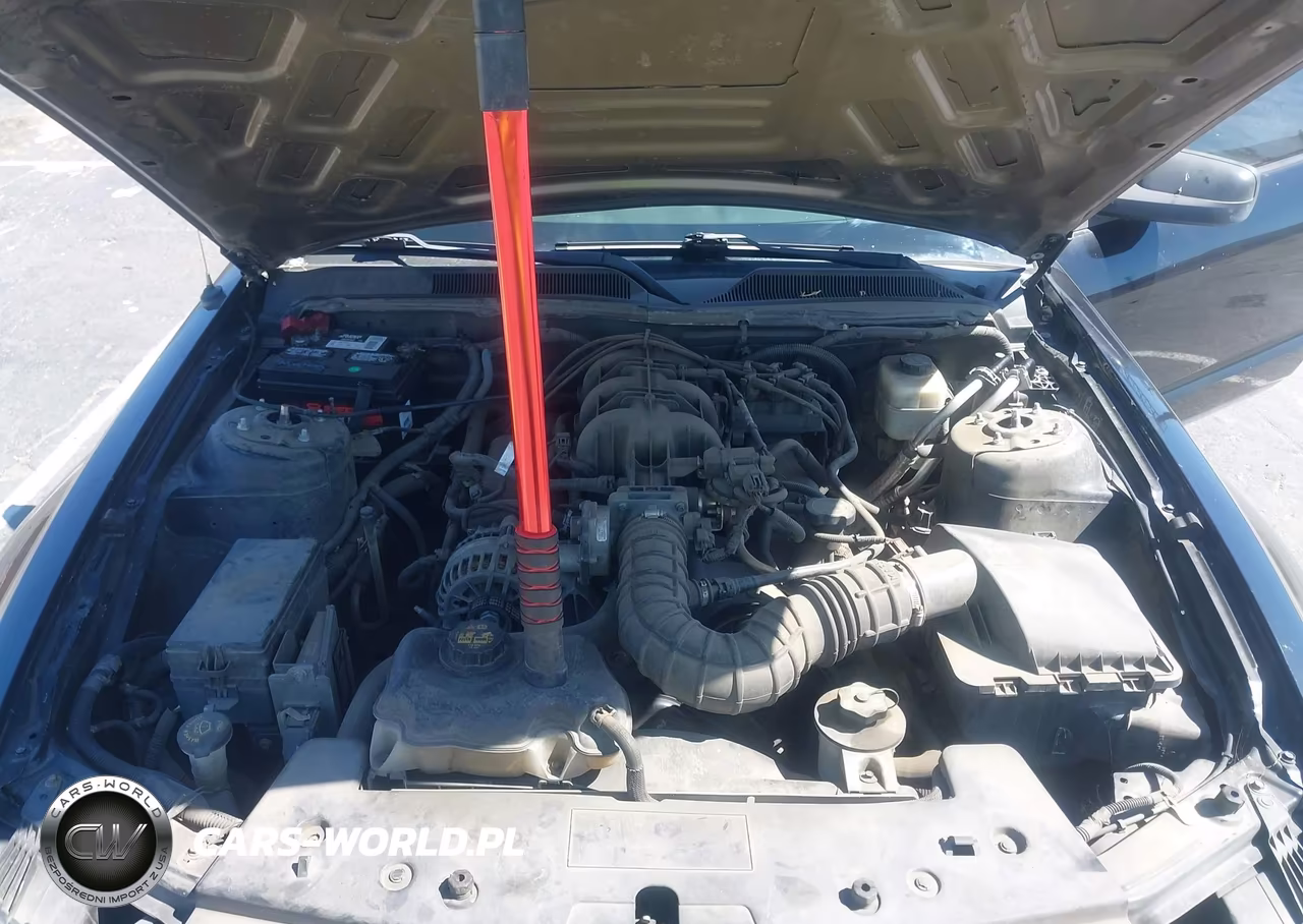 2007 Ford Mustang V6 Deluxe-V6 Premium VIN:1ZVFT80N275319969 - 10