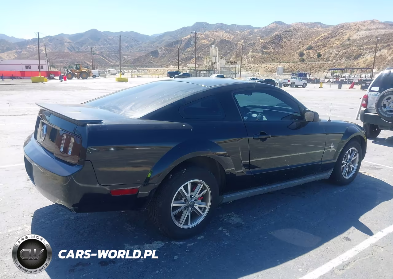 2007 Ford Mustang V6 Deluxe-V6 Premium VIN:1ZVFT80N275319969 - 4