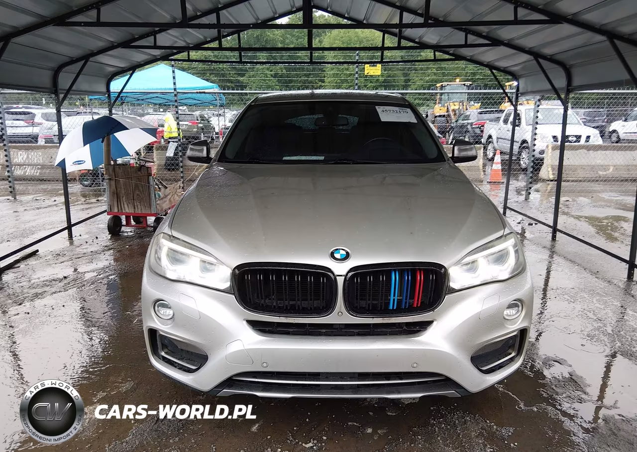 2016 BMW X6 xDrive35I VIN:5UXKU2C59G0N78378 - 12