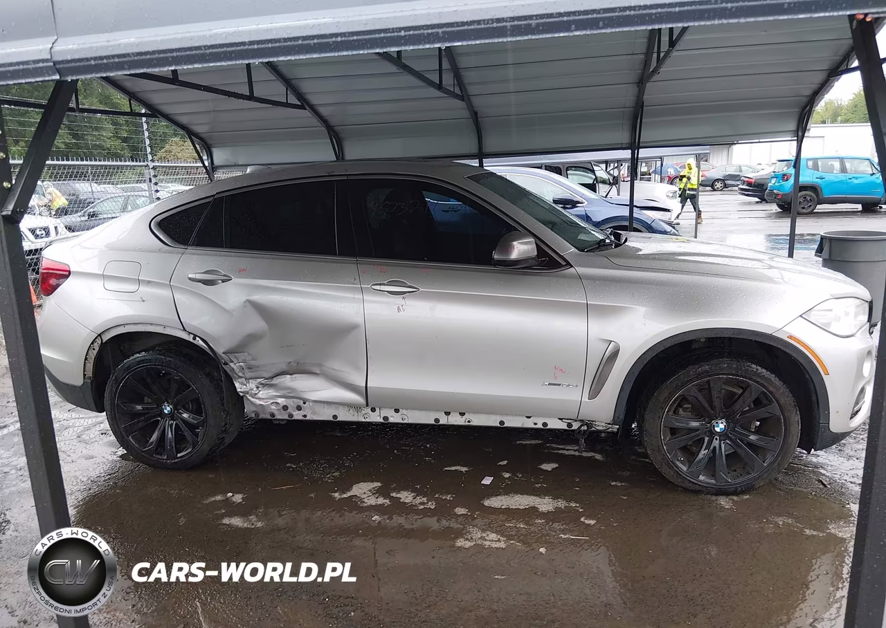 2016 BMW X6 xDrive35I VIN:5UXKU2C59G0N78378 - 13