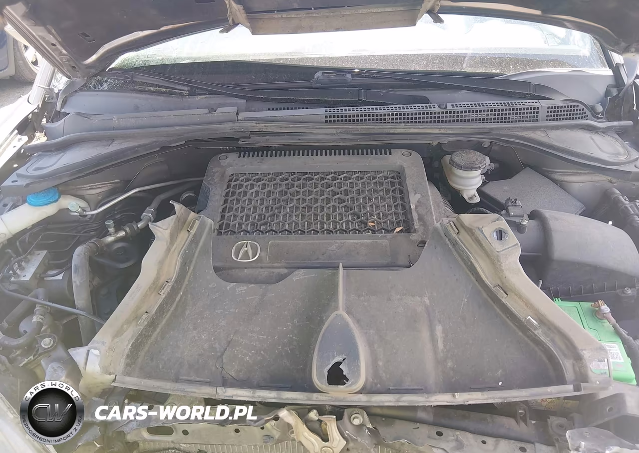 2008 Acura Rdx VIN:5J8TB18248A011769 - 10