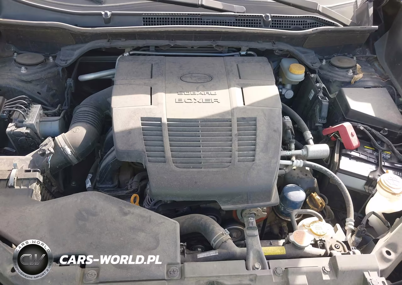 2019 Subaru Forester Limited VIN:JF2SKAUC3KH549632 - 10