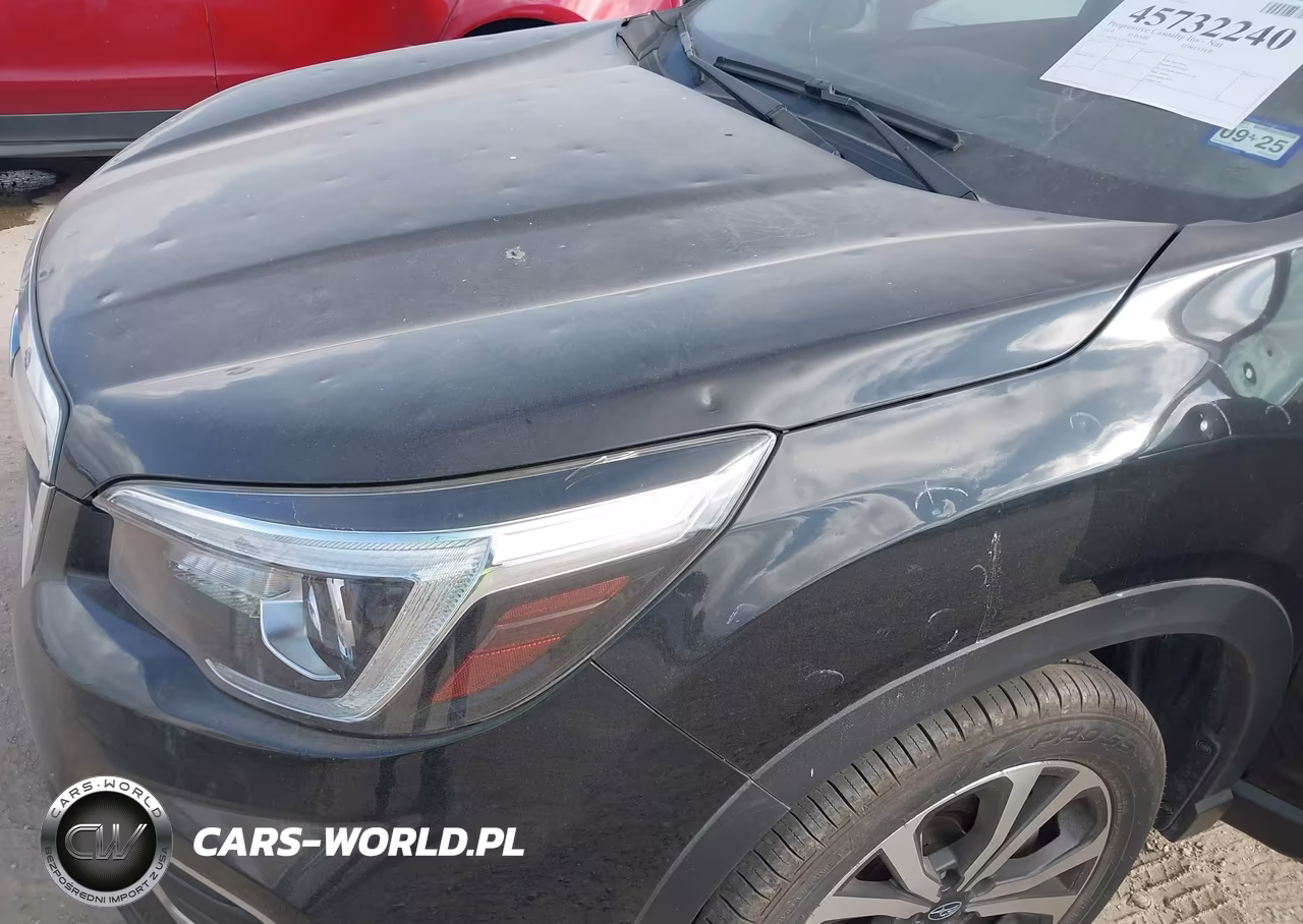 2019 Subaru Forester Limited VIN:JF2SKAUC3KH549632 - 6