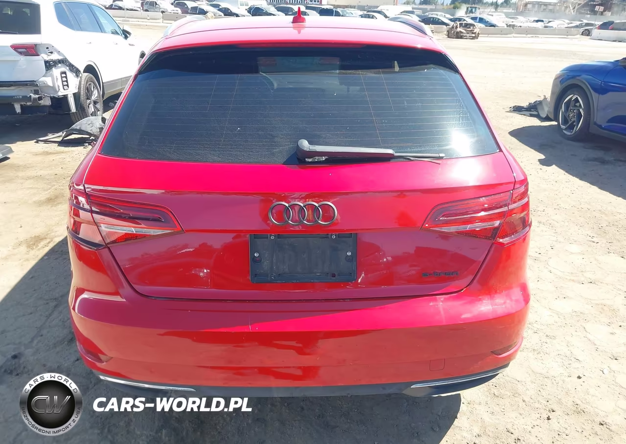 2017 Audi A3 Sportback E-Tron Premium VIN:WAUUPBFF0HA035144 - 17