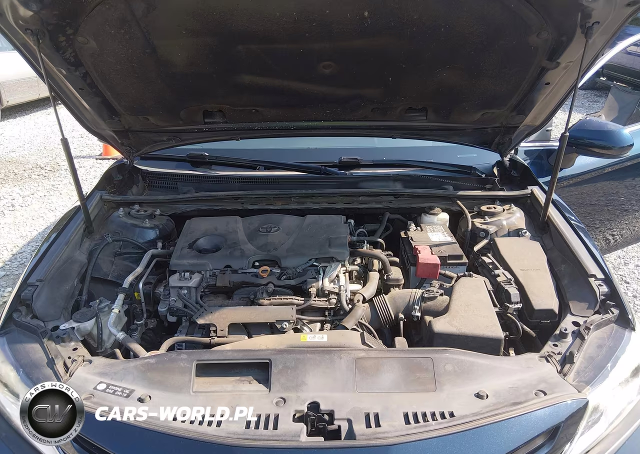 2020 Toyota Camry Se VIN:4T1G11AK1LU887666 - 10