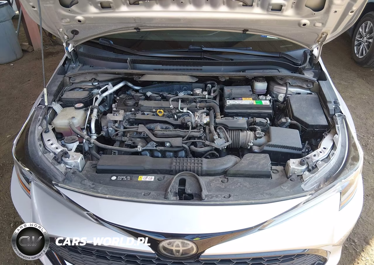 2019 Toyota Corolla Se VIN:JTNK4RBE2K3054911 - 10
