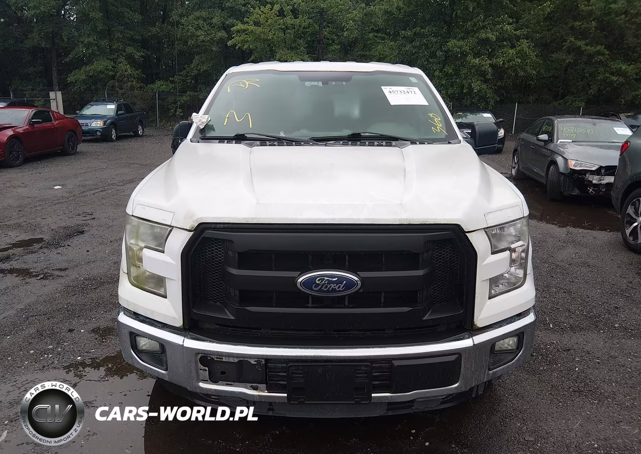 2016 Ford F-150 Xl VIN:1FTEX1C87GFC96098 - 12