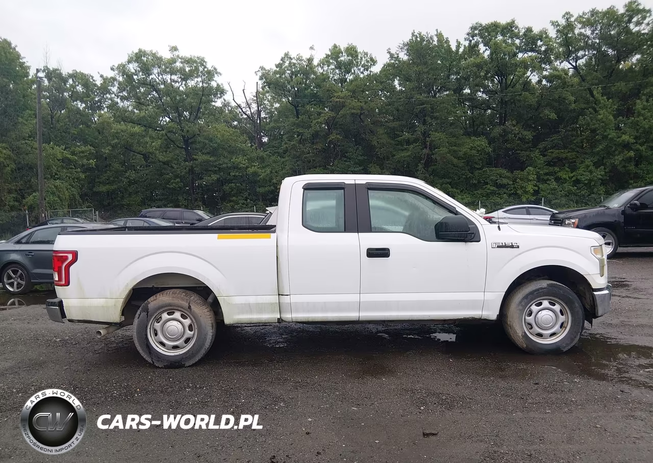 2016 Ford F-150 Xl VIN:1FTEX1C87GFC96098 - 13